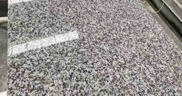 贵州 芙蓉白光面