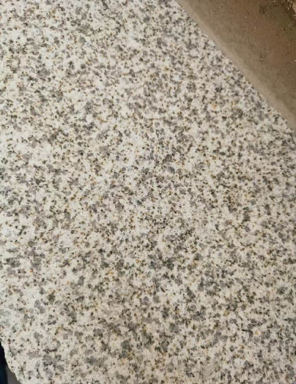 贵州 黄金麻中黄光面
