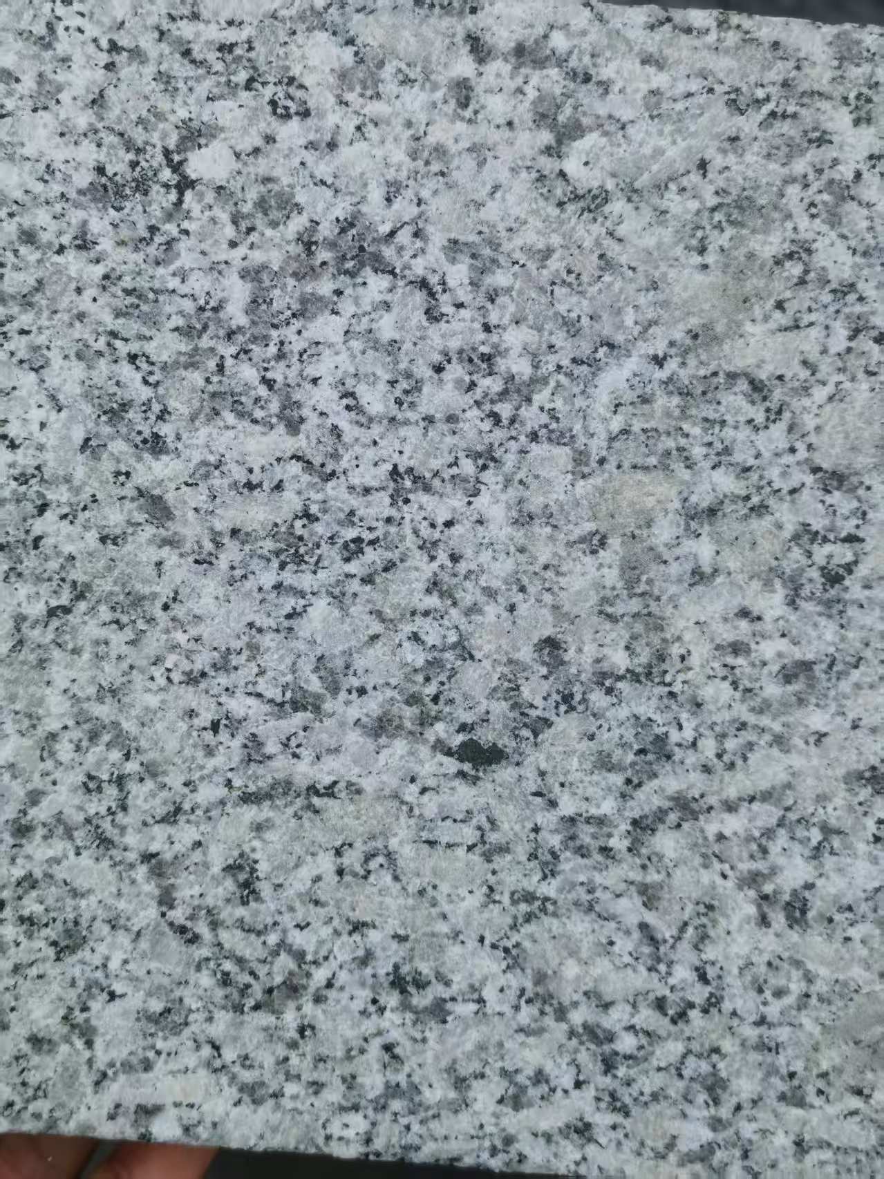 贵州 芙蓉白火烧面