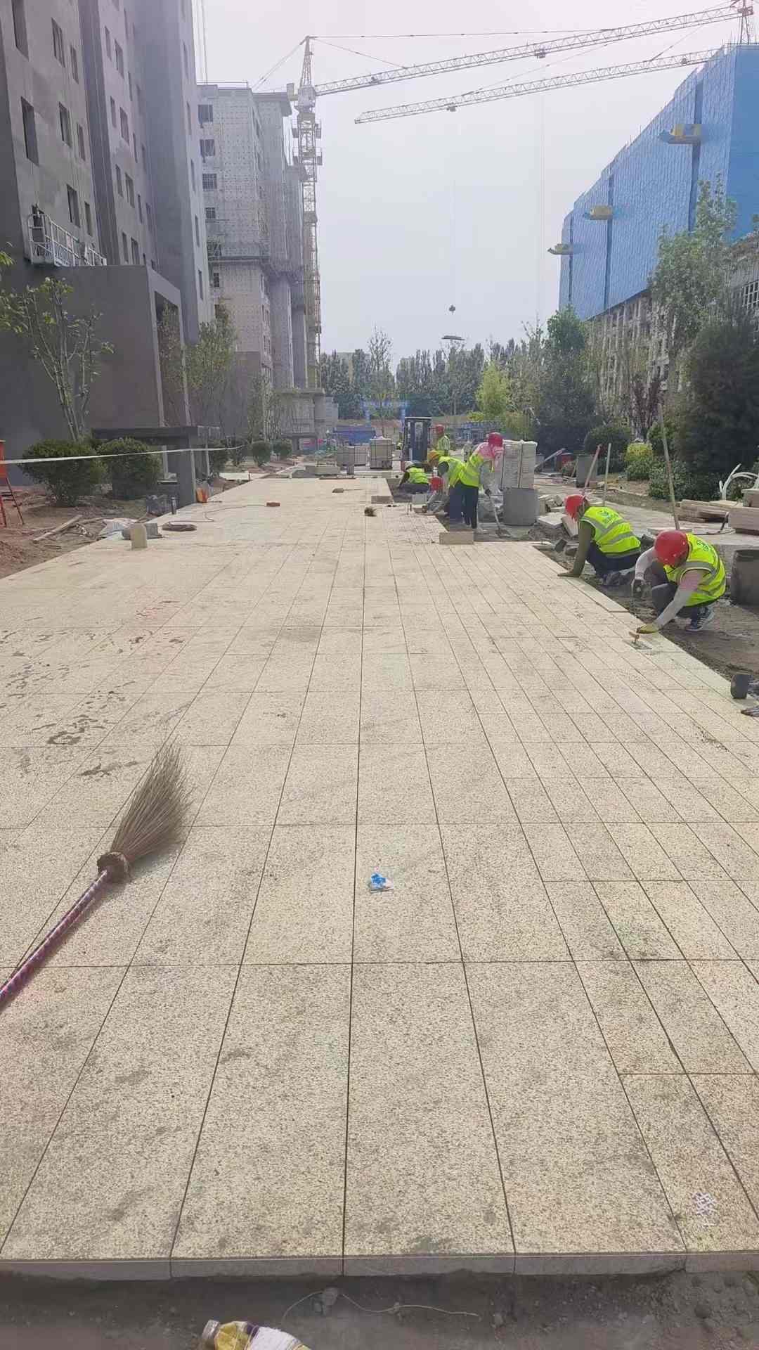 贵州黄金麻荔枝面地铺案例